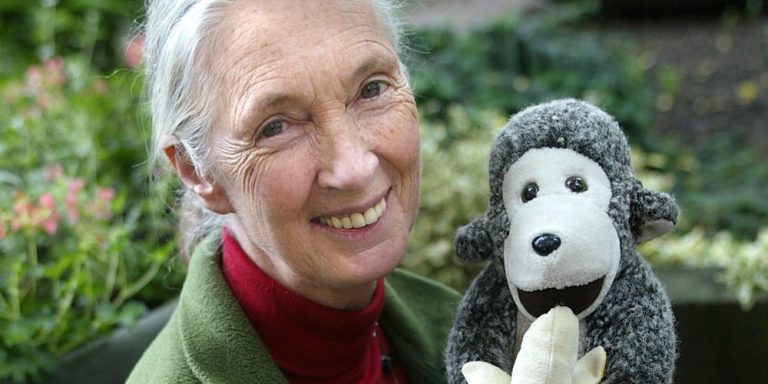 stars-jane-goodall-social.jpg