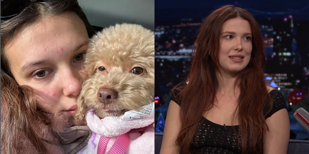 millie-dog-daughter.jpg