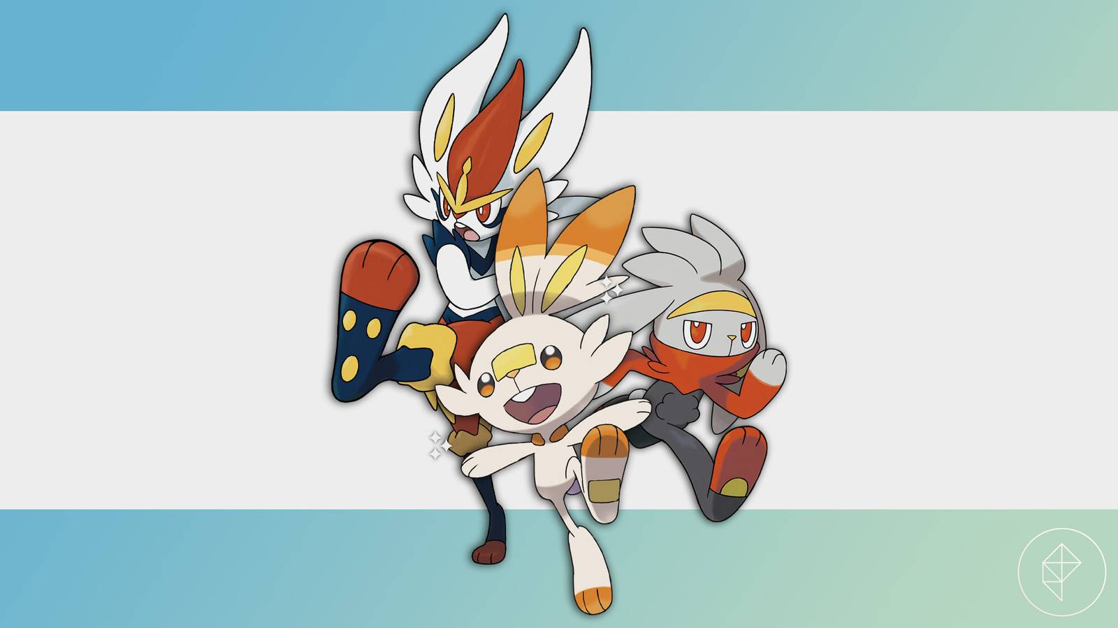 jlee_260310_1001_pogo_scorbunny-cd.jpg