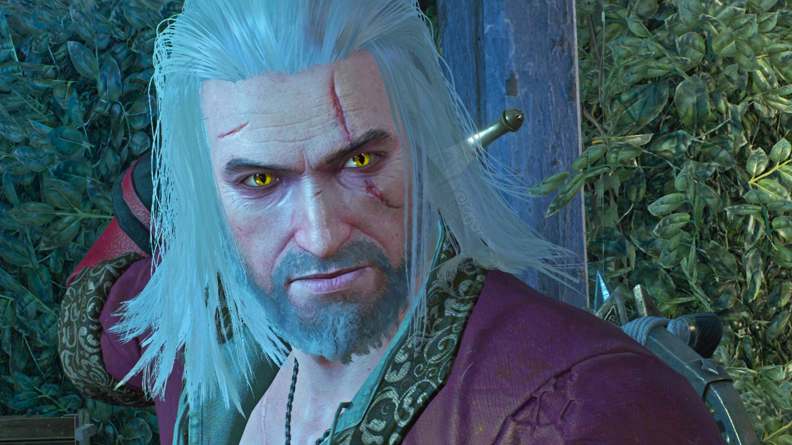 witcher-3-geralt-blood-and-wine-close-up.jpg