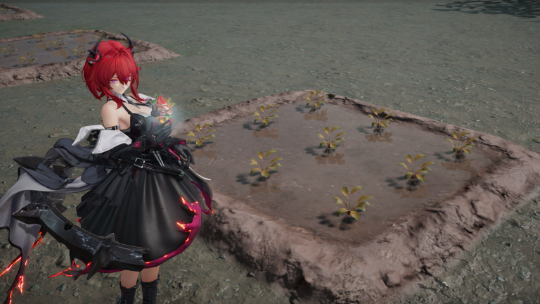 image-31.png