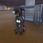 john-wick-s-dog_fn.jpg
