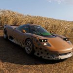 snapcat-jaguar_fh6.jpg