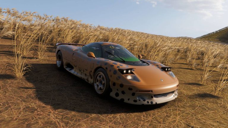 snapcat-jaguar_fh6.jpg