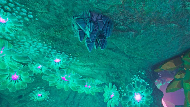 subnautica-2-silver-1.jpg