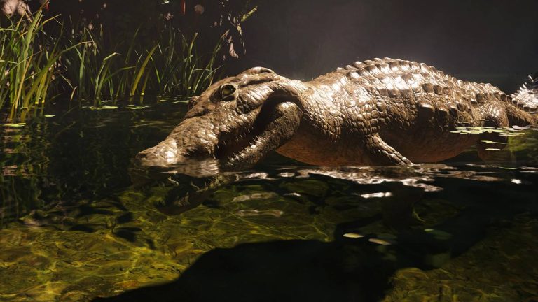 acblackflagresynced_guide_crocodileheader.jpg