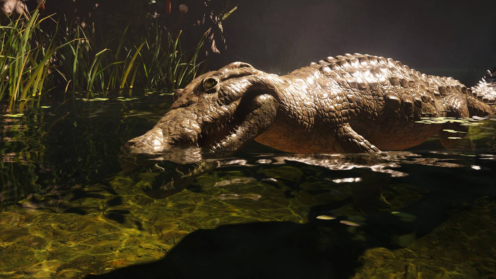 acblackflagresynced_guide_crocodileheader.jpg