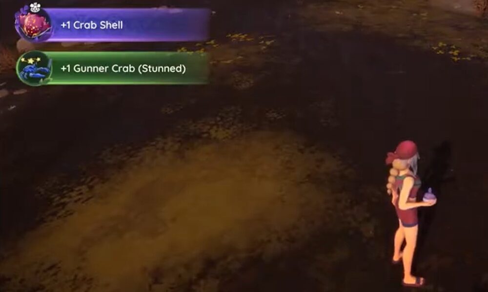 palia-how-to-get-crab-shell-1000x600.jpg